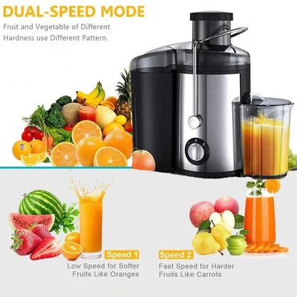 800W Powerful Centrifugal Juicer