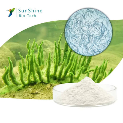 Algae Peeling Whitening Facial Kit